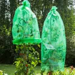 Tomaten-Folienhaube 1,2x0,6 m 5 Stück^Windhager Clearance