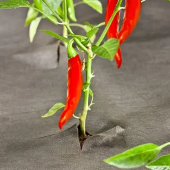 Unkrautvlies 10x1 m 50 g/m²^Windhager Online