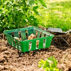 Zwiebelschalen 23,5x21 cm 3 Stück*Windhager New