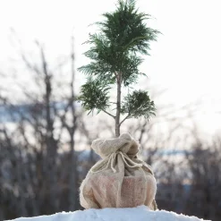 Jute-Sack natur Öko 80 x 60 cm^Windhager Best