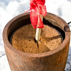 Mulchscheibe Cocodisc Durchmesser 45 cm*Windhager New