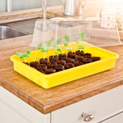 Saat-Schale 38 x 24 x 6 cm gelb^Windhager Best