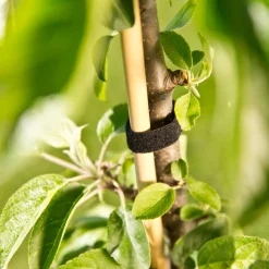 Universal-Klettverbinder 12 mmx5m*Windhager Best